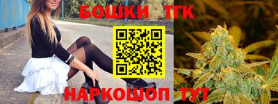 СК Новозыбков