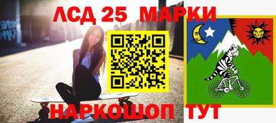 СК Новозыбков