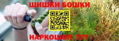 ешки Новодвинск