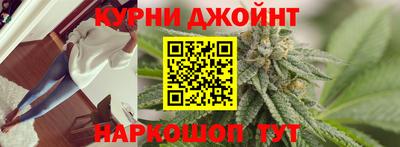 СК Новозыбков
