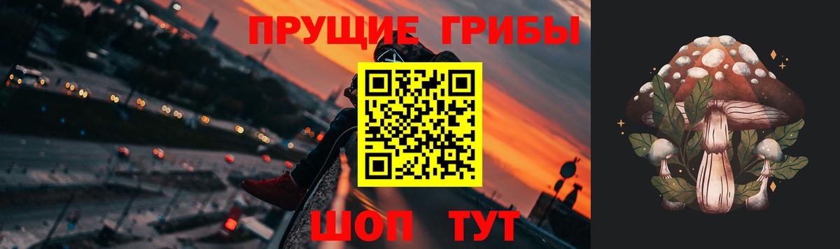 Псилоцибиновые грибы GOLDEN TEACHER  Вход с VPN  Ржев  Галлюциногенные грибы мухоморы 